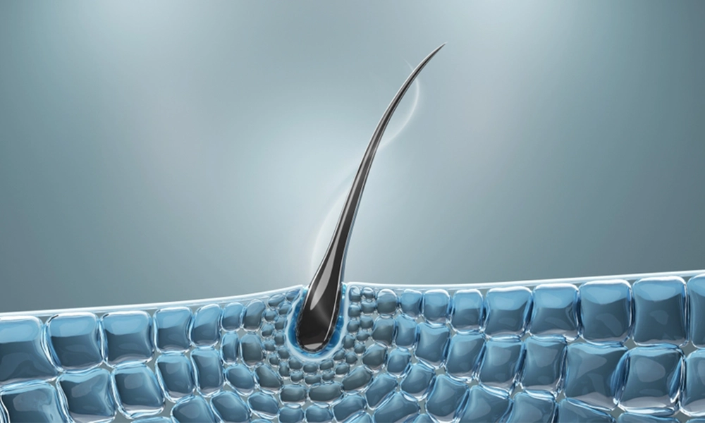 عکس پیاز مو