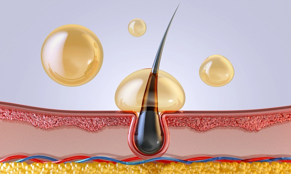نحوه تغذیه پیاز مو